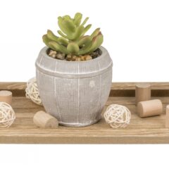 Holz-Tablett mit Kerzen im Glas & Sukkulente im Keramiktopf