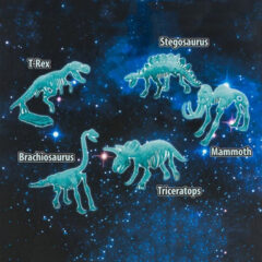 DINOSAUR KIT - Glow in the Dark