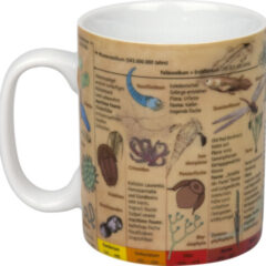 Könitz Wissensbecher