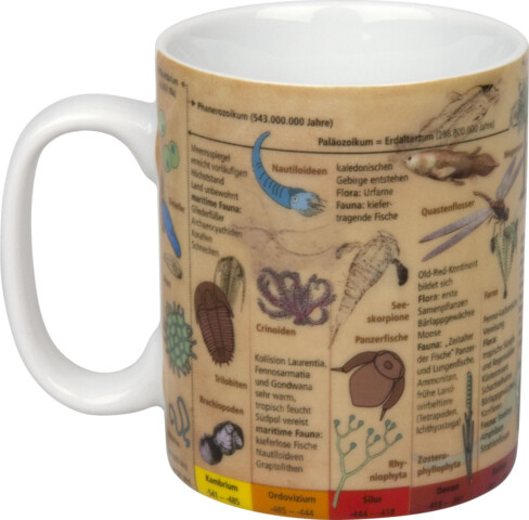 Könitz Wissensbecher "Evolution"