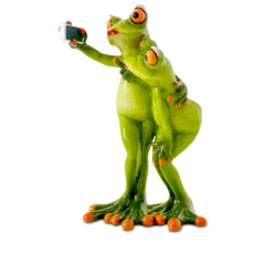 Formano Frosch Selfie, hellgrün - Froschhausen