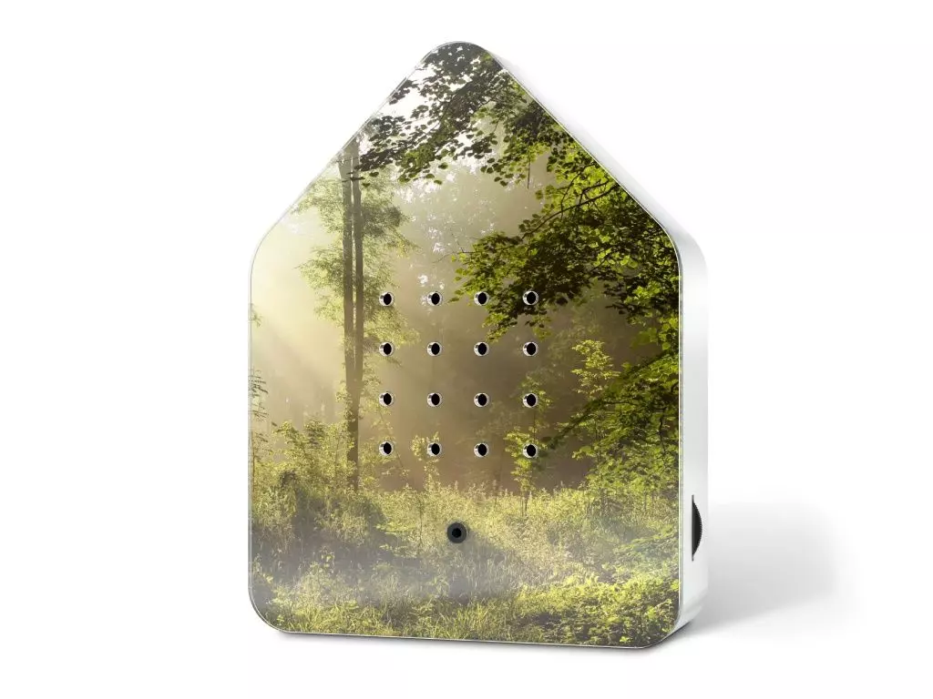 ZwitscherBox Sunbeam (Sonnige Waldlichtung)