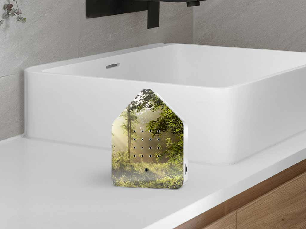 ZwitscherBox Sunbeam (Sonnige Waldlichtung) im Badezimmer