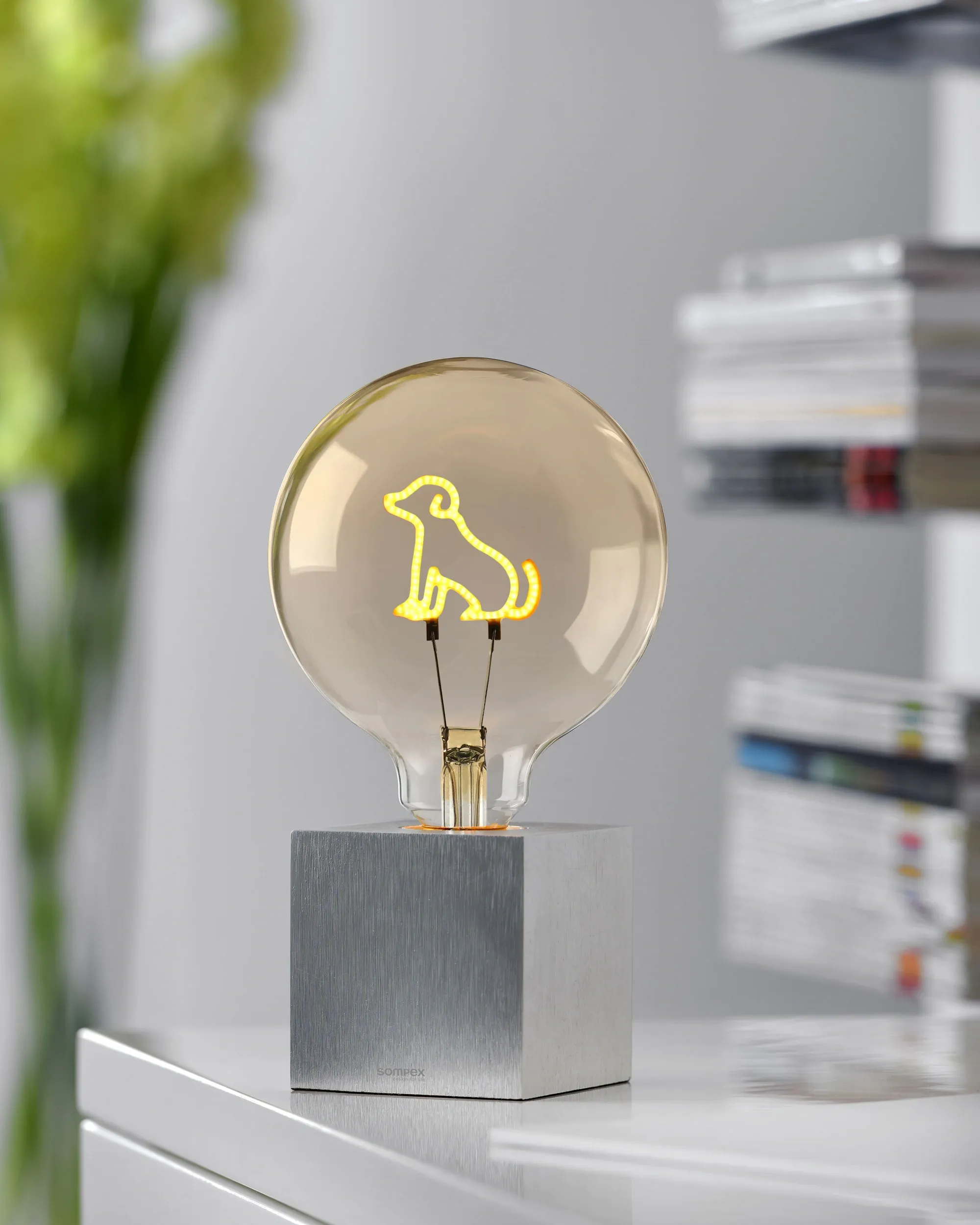 LED Leuchtmittel - Hund by Sompex - Moodbild mit einem modernen Interior