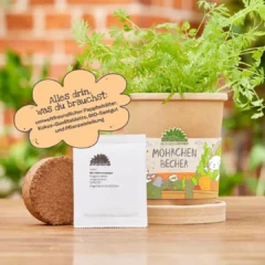 Die Stadtgärtner –