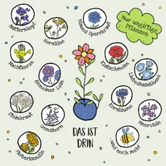 Die Stadtgärtner – Blumenmurmeln in der Dose, 25 Stk.