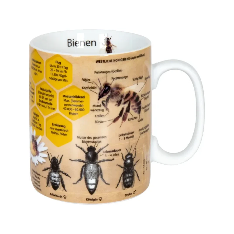 Könitz Wissensbecher "Biene"