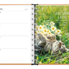 Terminplaner 2026 Hardcover Happymacher - Grafik Werkstatt, August