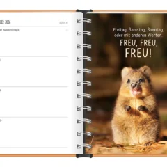 Terminplaner 2026 Hardcover Happymacher - Grafik Werkstatt, November