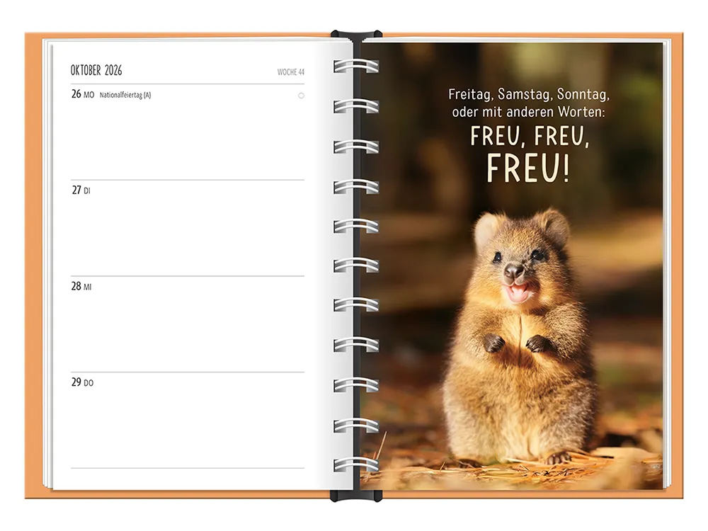 Terminplaner 2026 Hardcover Happymacher - Grafik Werkstatt, November