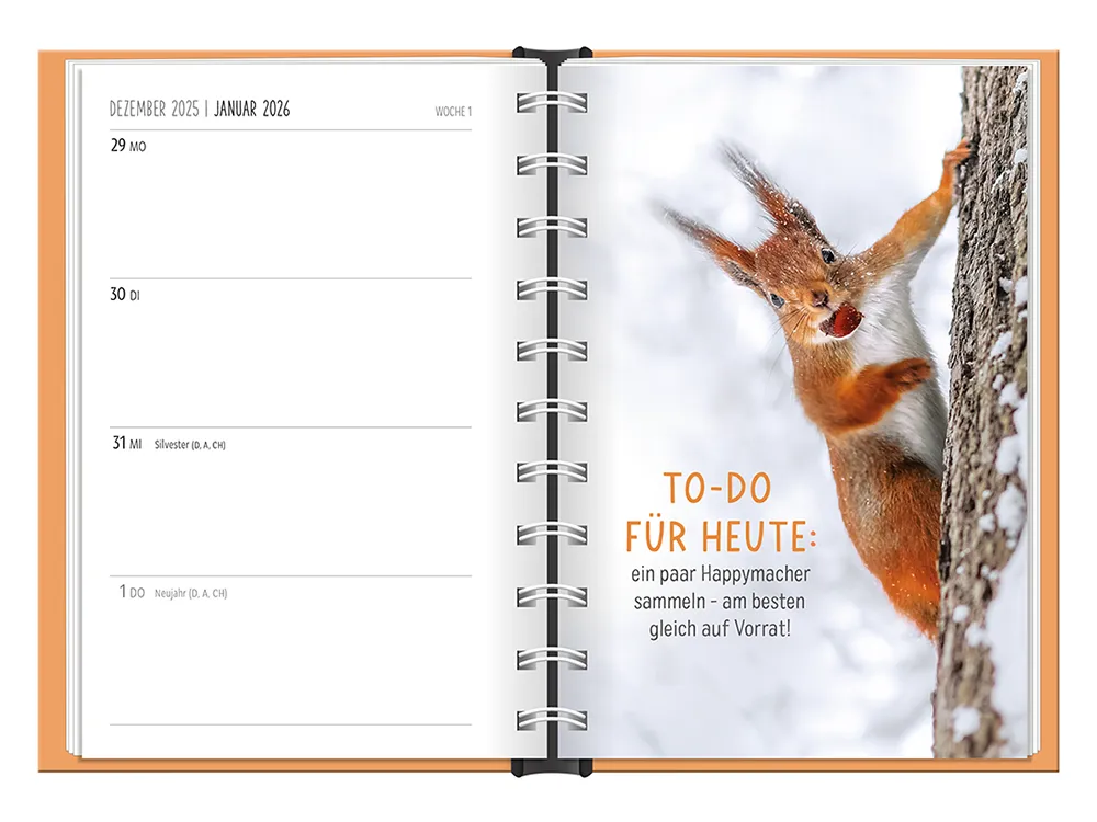 Terminplaner 2026 Hardcover Happymacher - Grafik Werkstatt, Januar