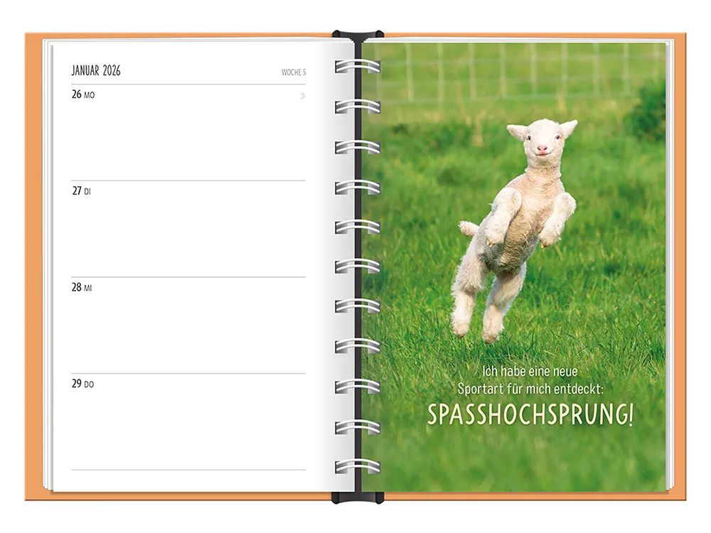 Terminplaner 2026 Hardcover Happymacher - Grafik Werkstatt, Februar