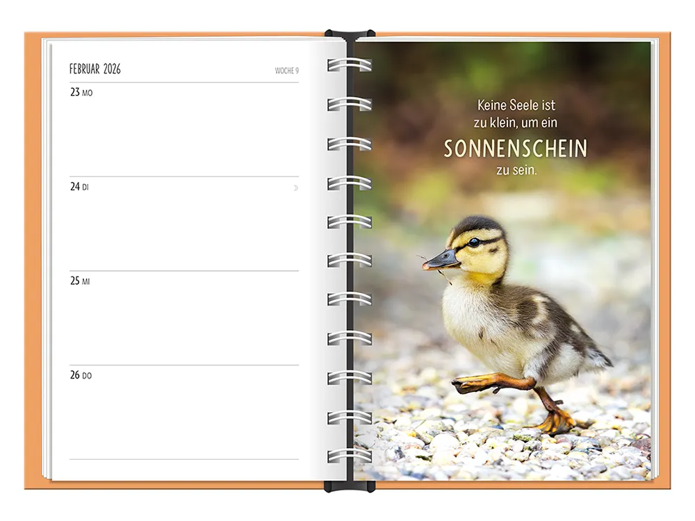 Terminplaner 2026 Hardcover Happymacher - Grafik Werkstatt, März