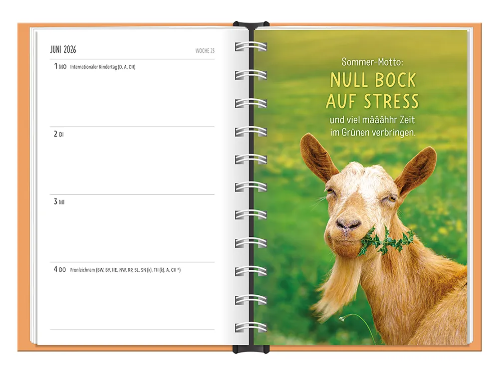 Terminplaner 2026 Hardcover Happymacher - Grafik Werkstatt, Juni