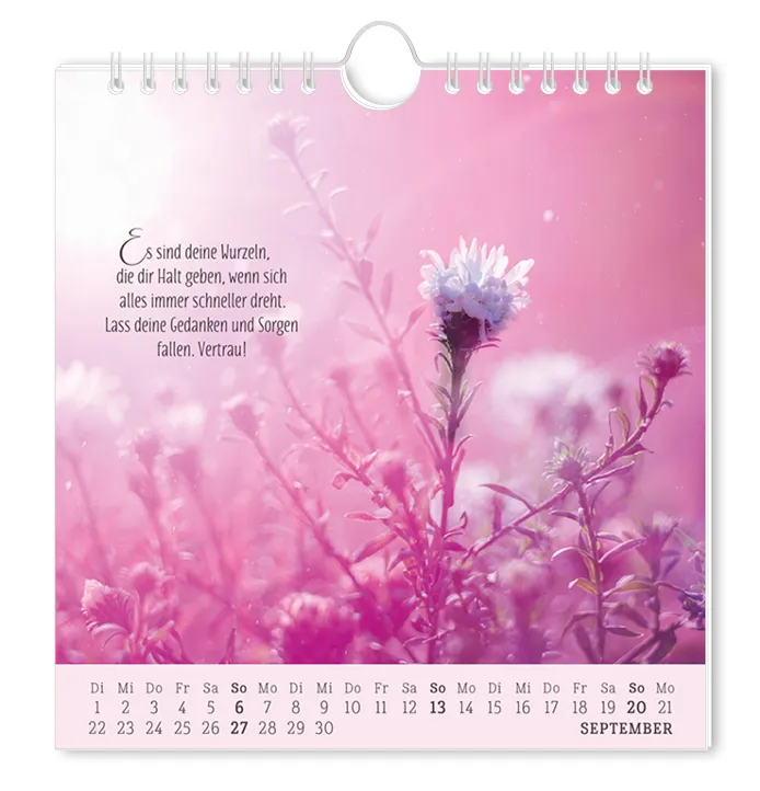 Postkartenkalender "Lebenszeichen" 2026 – Grafik Werkstatt