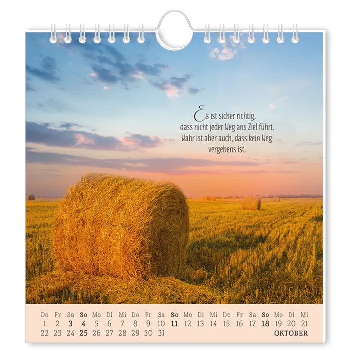 Postkartenkalender "Lebenszeichen" 2026 – Grafik Werkstatt