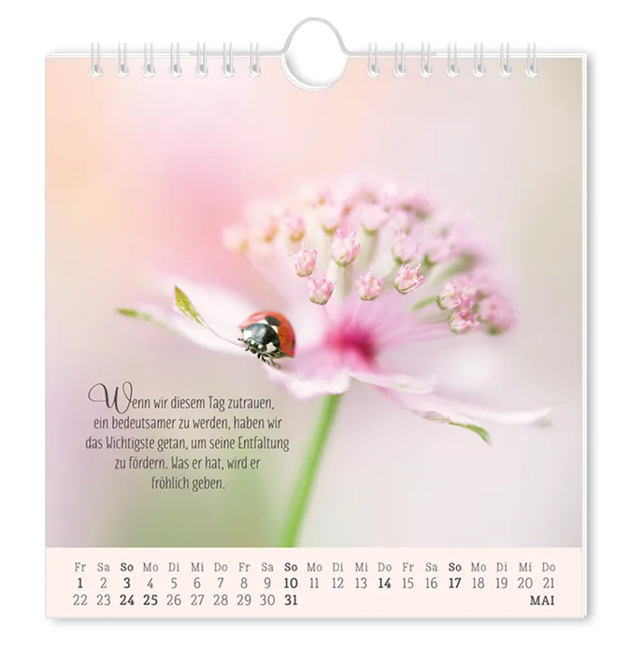 Postkartenkalender "Lebenszeichen" 2026 – Grafik Werkstatt