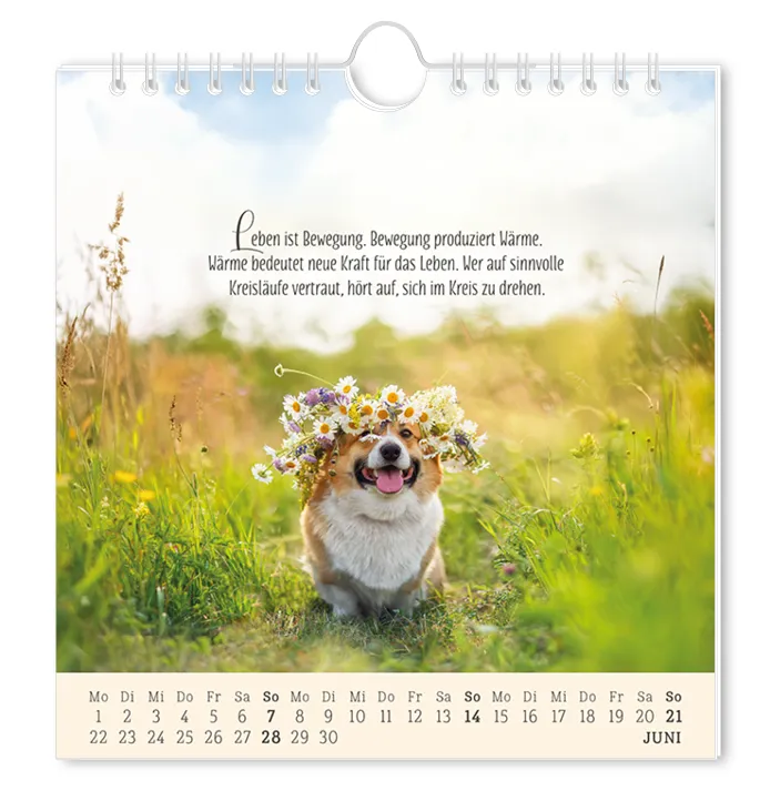 Postkartenkalender "Lebenszeichen" 2026 – Grafik Werkstatt