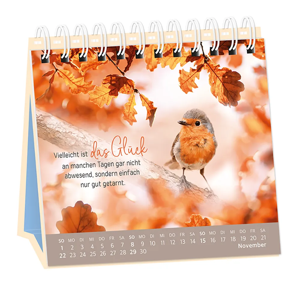 Tischkalender "Extraportion Glück" 2026 von Grafik Werkstatt