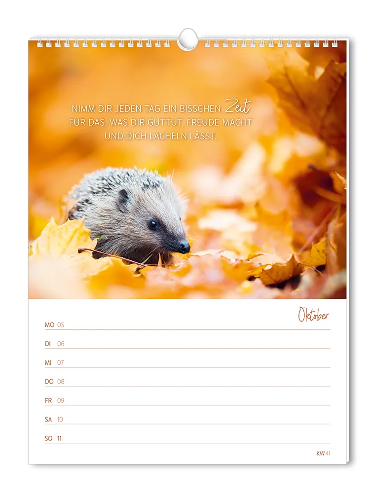 Wochenkalender "Zeit für dich" 2026 – Grafik Werkstatt