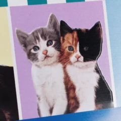 Nostalgic-Art Blechdose Cat Food, Prägung im Detail